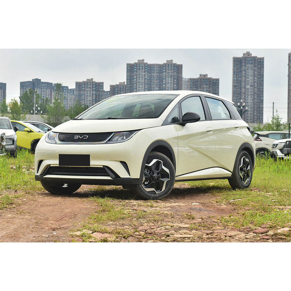 Byd_Dolphin
